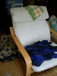e0079166_322382.jpg