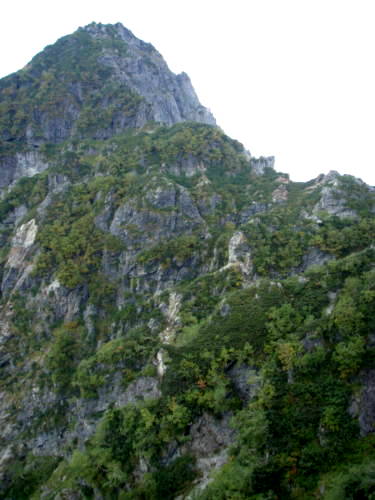 b0050067_2142374.jpg