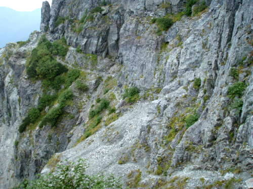 b0050067_21495362.jpg