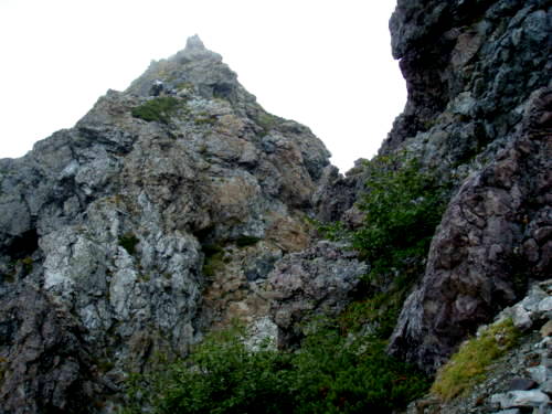 b0050067_21555496.jpg