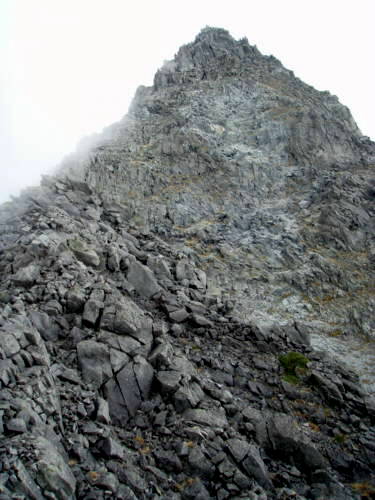 b0050067_2223102.jpg