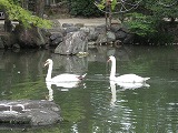 e0041168_121067.jpg