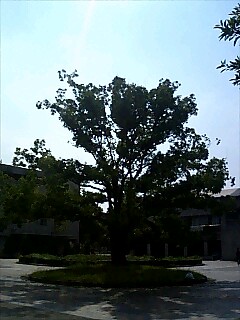 f0005778_1355982.jpg