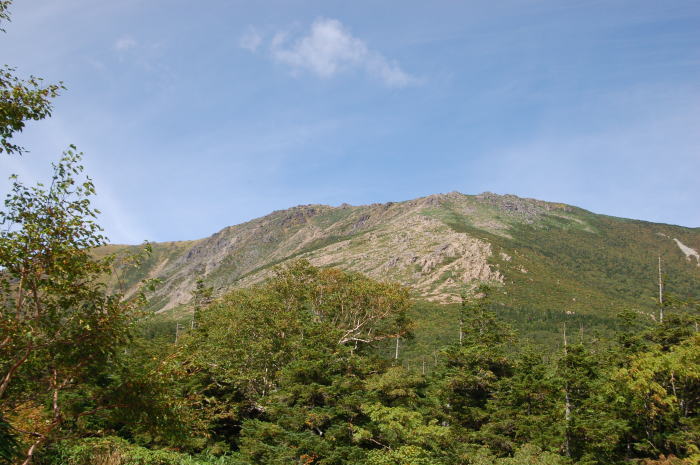 c0072785_21305072.jpg