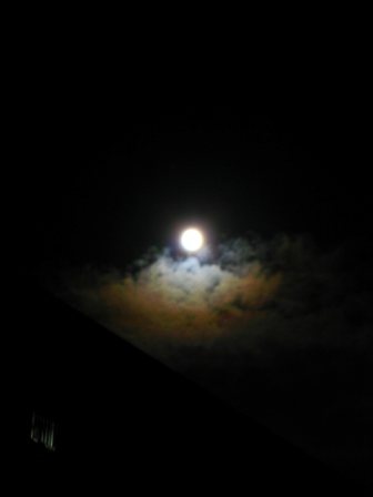 b0088089_1553782.jpg