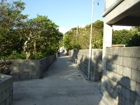b0104592_21303464.jpg