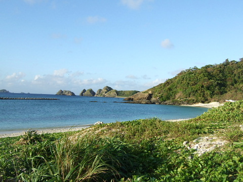 b0104592_21321512.jpg