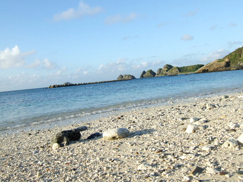 b0104592_21322625.jpg