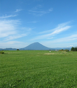 d0129295_1454403.jpg