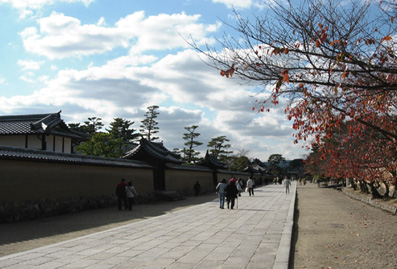 d0129295_1524932.jpg