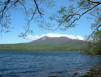 d0129295_1543090.jpg