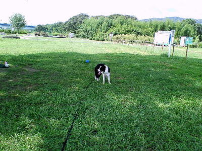 f0082396_9593535.jpg