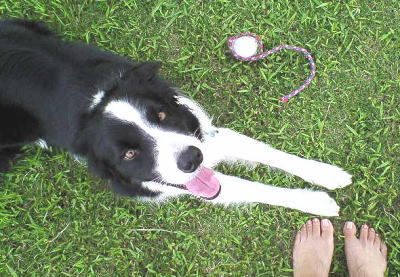 f0082396_9594767.jpg