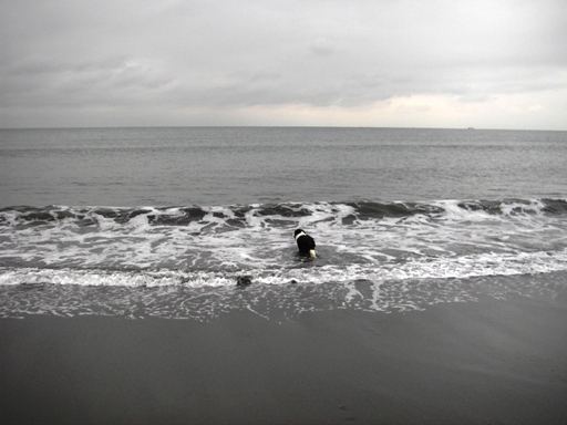 f0034602_2142121.jpg