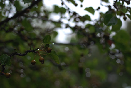 b0088205_583186.jpg