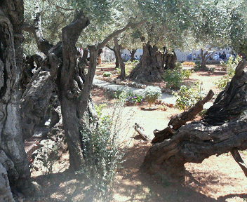 e0123206_16445770.jpg