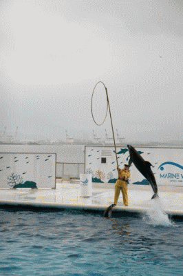 c0089419_11595472.gif