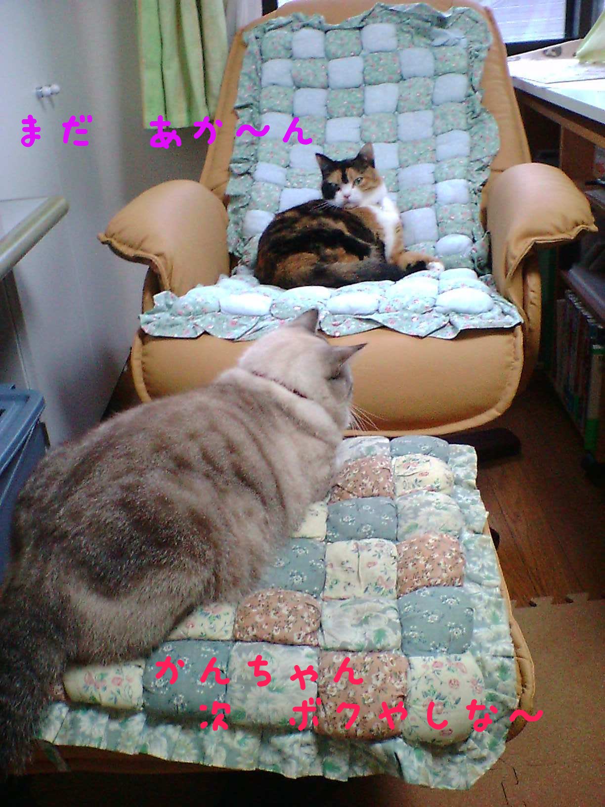 e0071819_104012.jpg