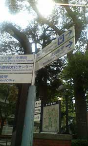 b0024020_0263724.jpg