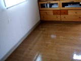 e0047322_23364495.jpg