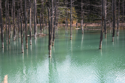 e0001123_20425519.jpg