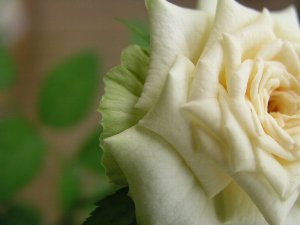 b0031925_16463949.jpg
