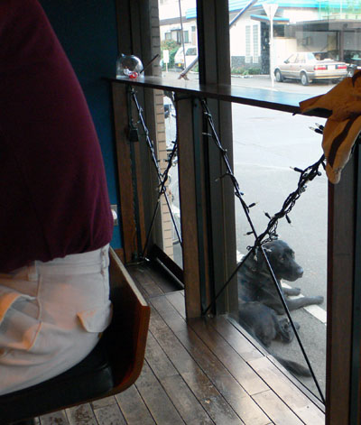 a0046429_23345297.jpg