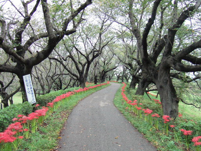 e0064133_20361557.jpg
