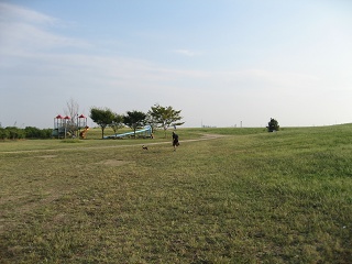 e0126046_003116.jpg