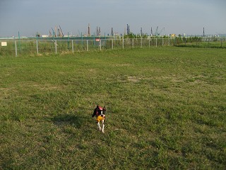 e0126046_01118.jpg