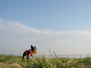 e0126046_042489.jpg