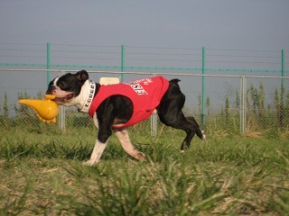 e0126046_062639.jpg