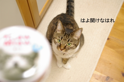 e0019550_13144141.jpg