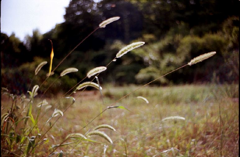 c0093351_2669.jpg