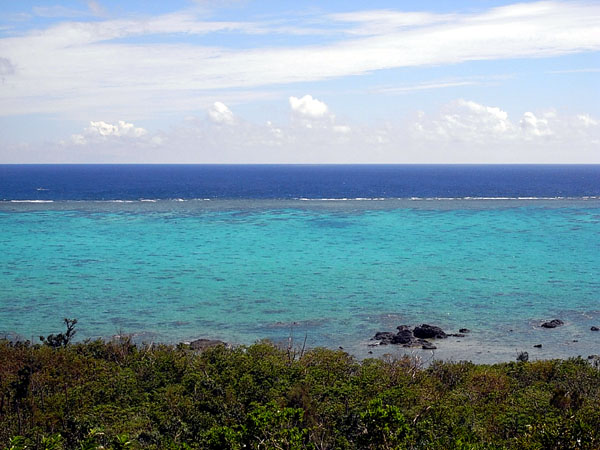 b0049152_774120.jpg
