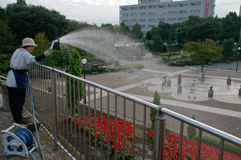 d0100156_2226506.jpg
