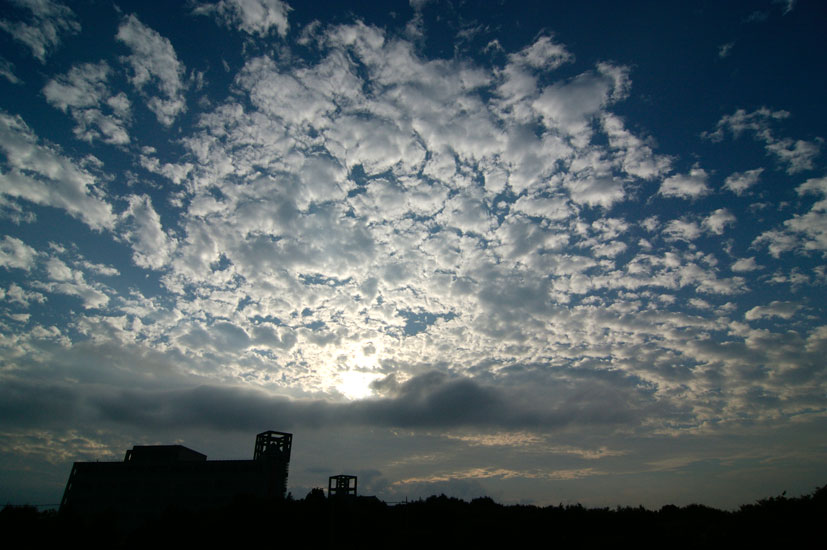 d0100156_22295054.jpg