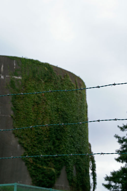 d0100156_22444958.jpg