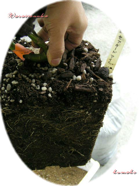 f0074659_21452747.jpg