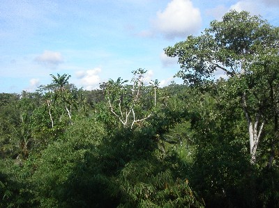 f0002265_10302492.jpg