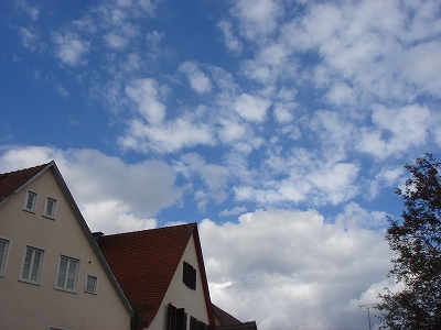 e0110868_4292562.jpg