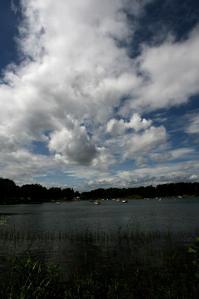 b0084270_0104419.jpg