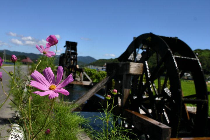 d0079373_17223986.jpg