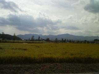 b0098674_17141428.jpg