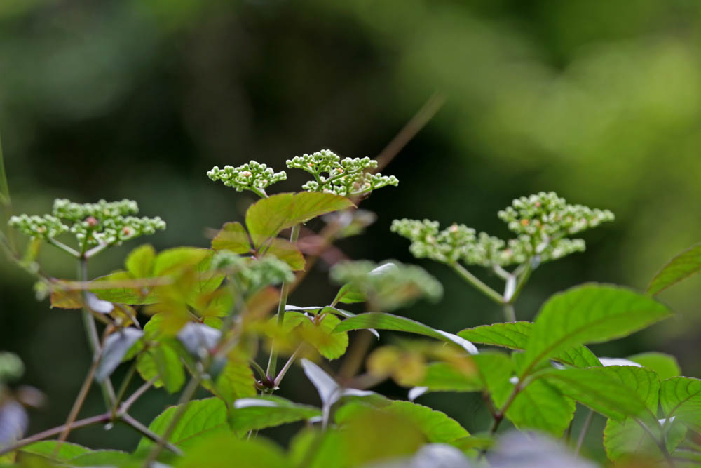 a0083081_16315277.jpg