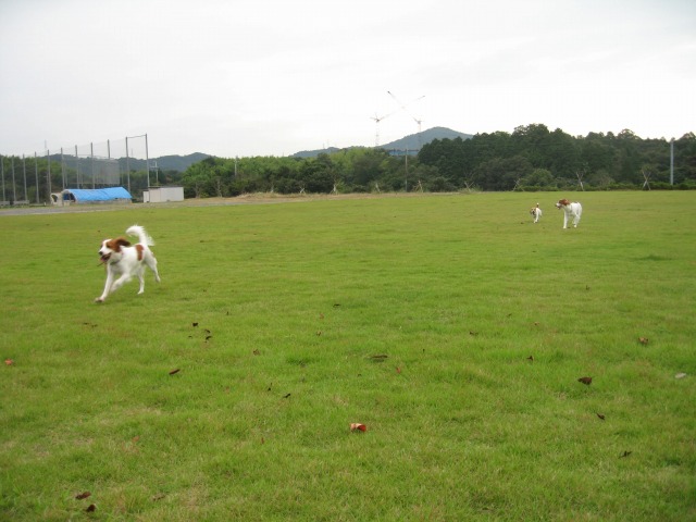 f0133681_21375383.jpg
