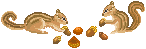 f0148582_13423594.gif