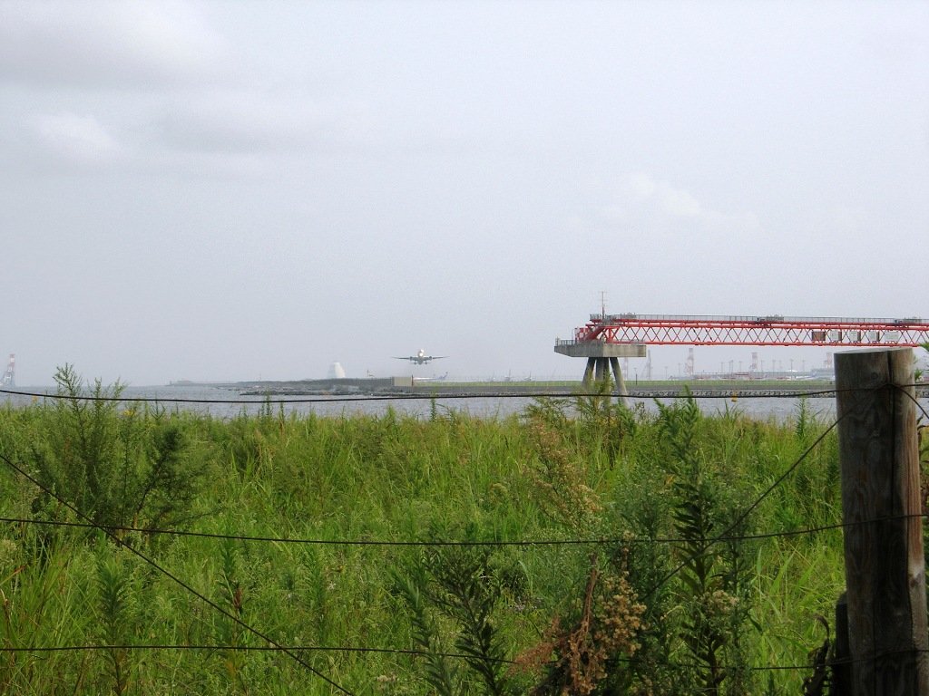 a0045688_2373170.jpg