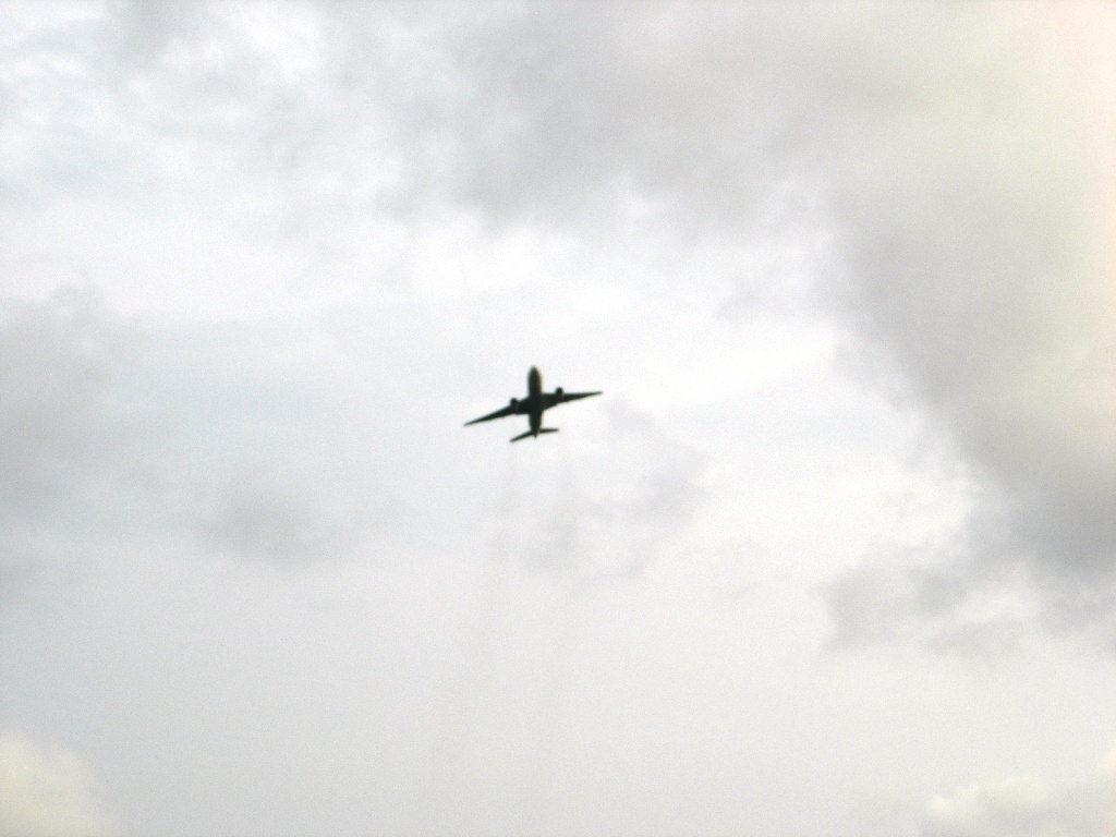 a0045688_2383491.jpg