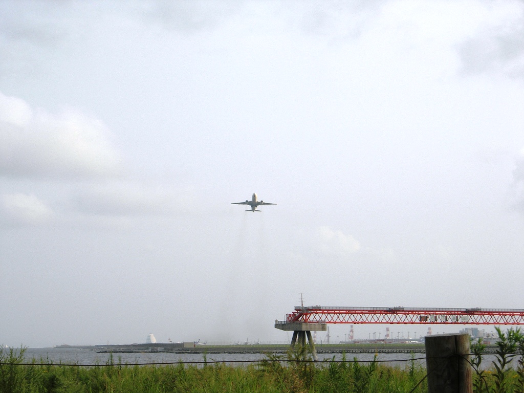 a0045688_238583.jpg